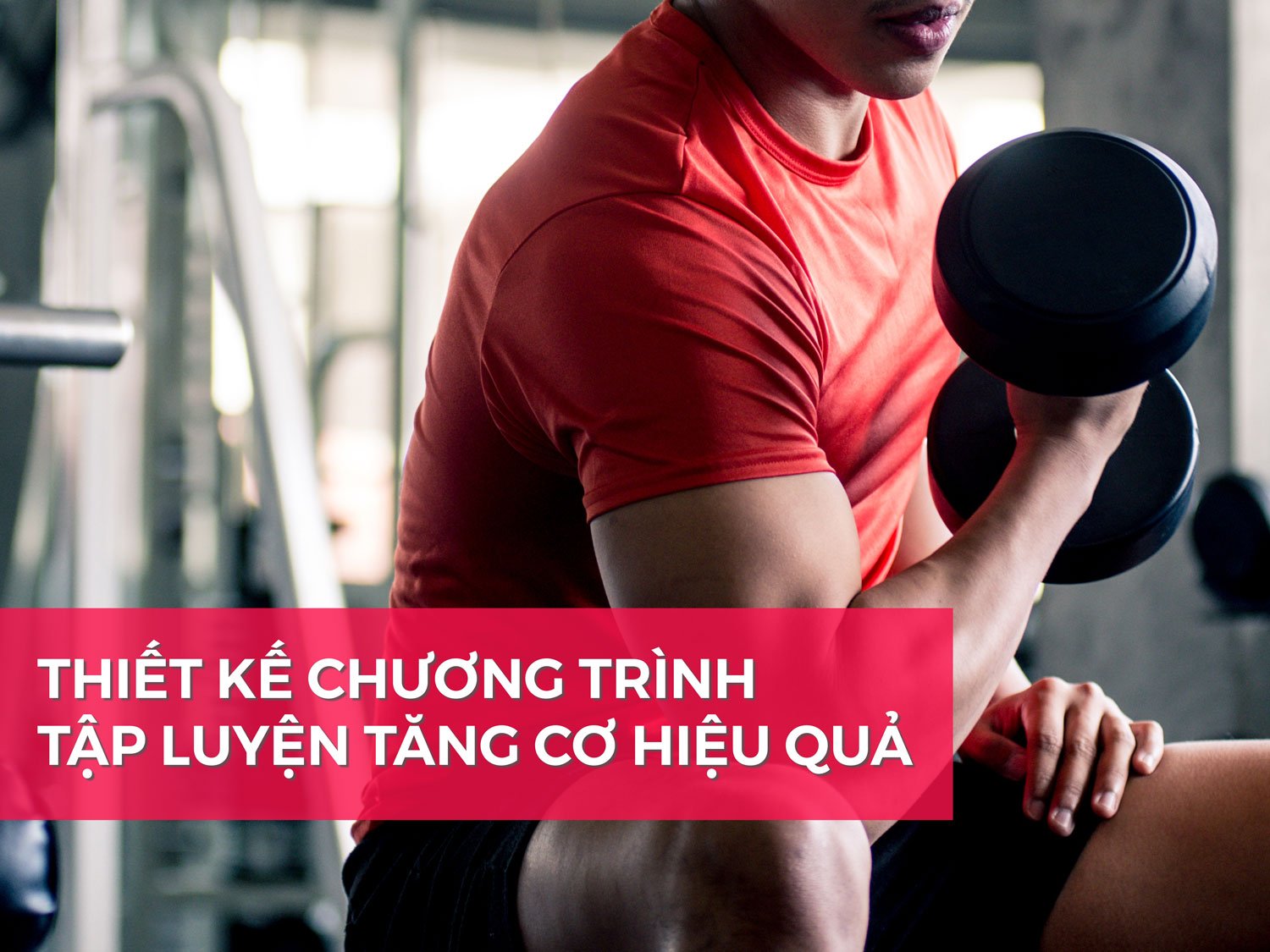 Thiết kế chương trình tập luyện tăng cơ hiệu quả